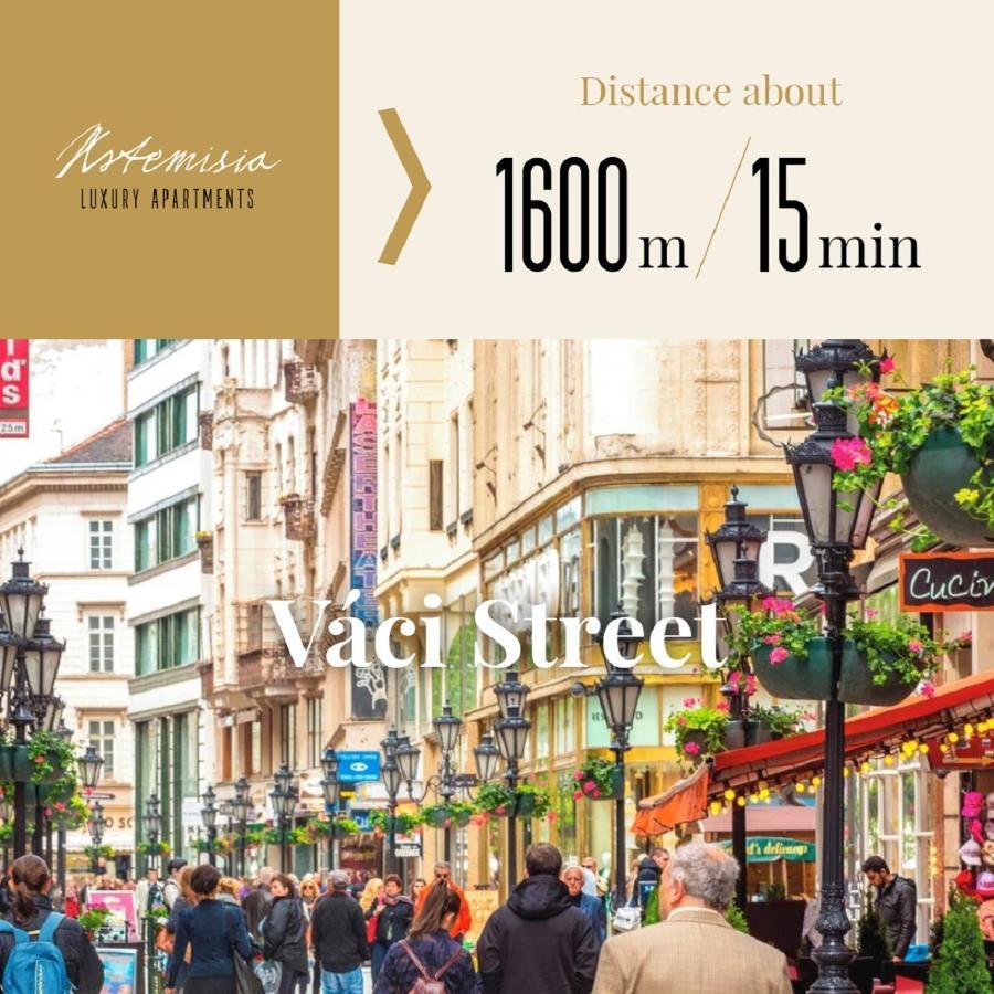 Artemisia Luxury Apartments Skyflat Budapest Eksteriør billede