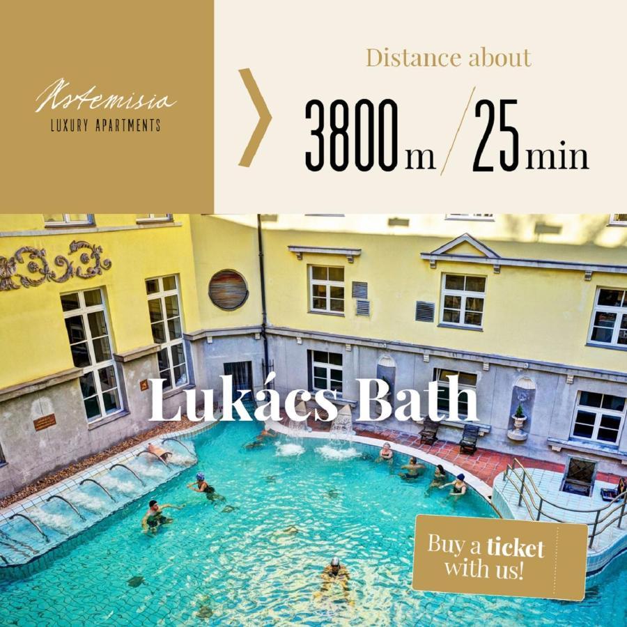 Artemisia Luxury Apartments Skyflat Budapest Eksteriør billede